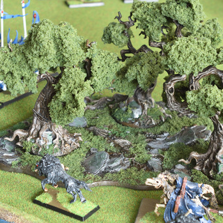 Citadel Wood with LukesAps foliage